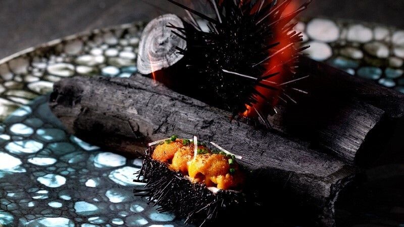 Innovative French WATAHAN by Furuyu Onsen ONCRI