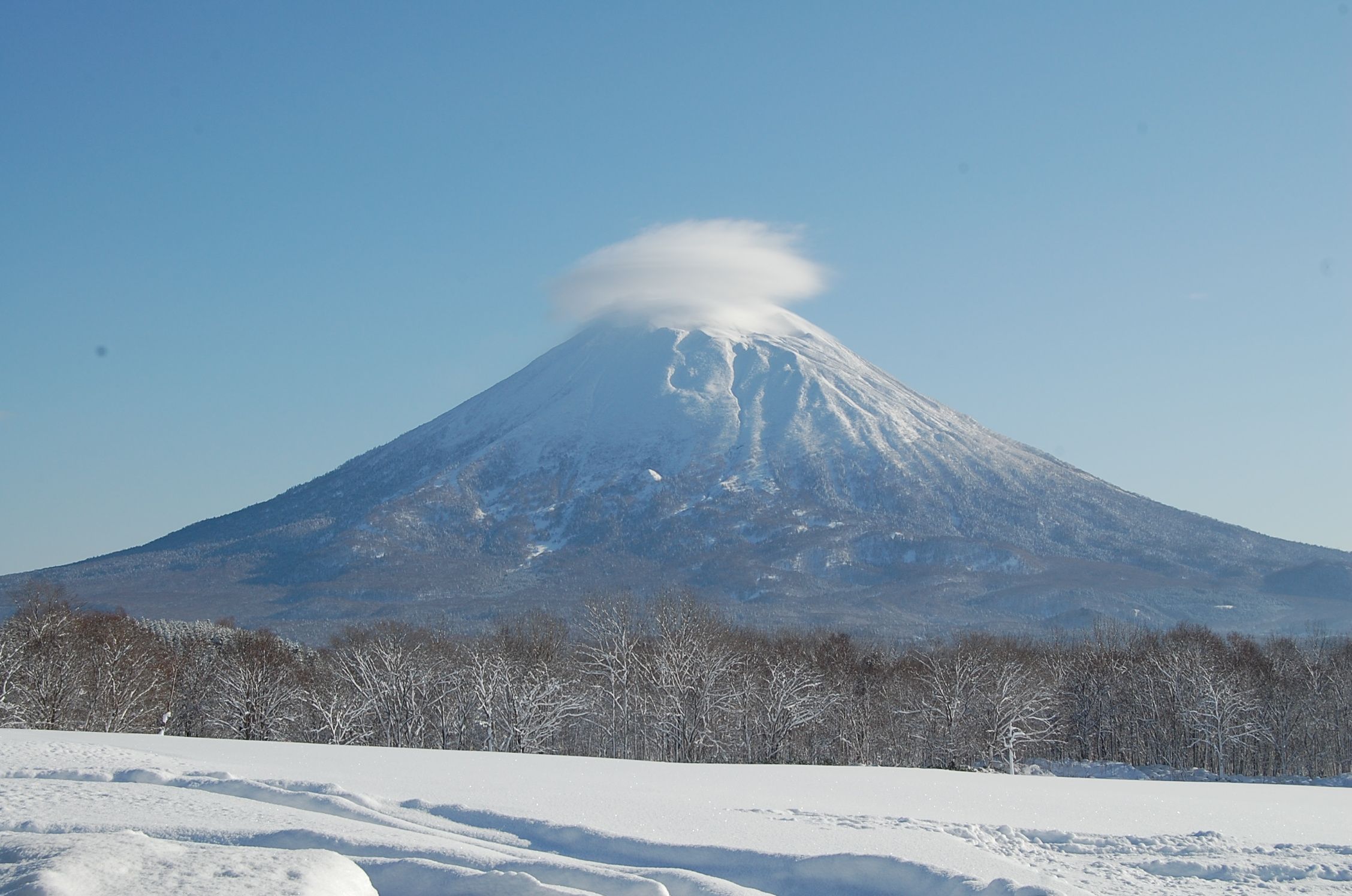 レストラン　PRATIVO