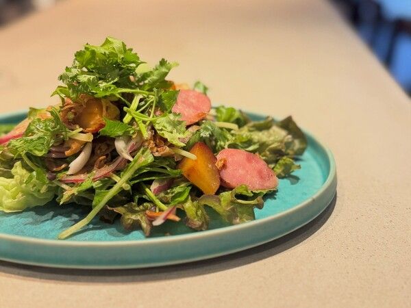Ammonite Spice Club
