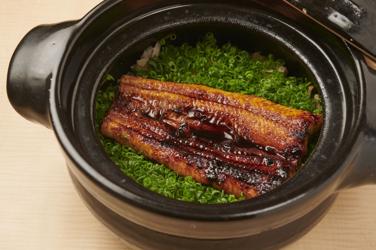 特選コース〈乾杯ドリンク付き〉