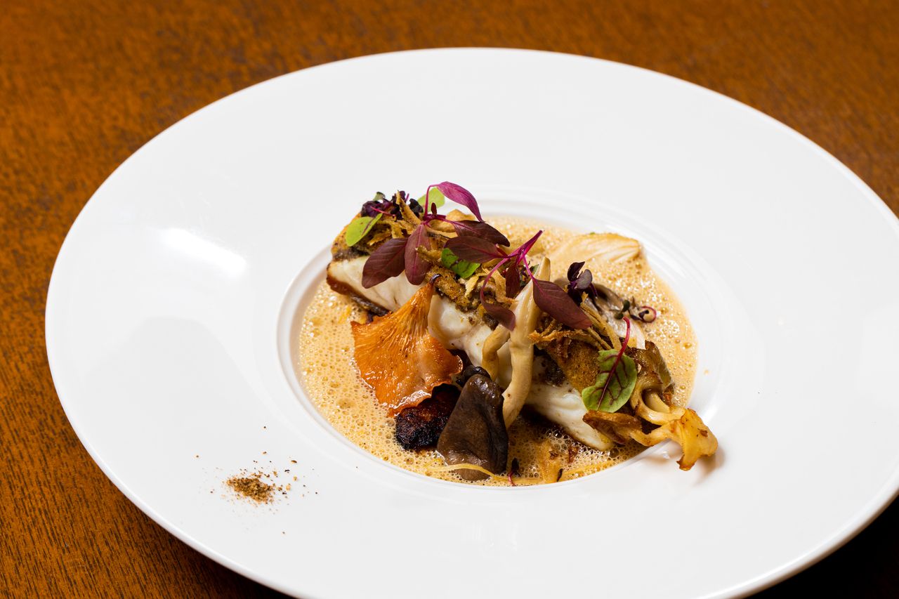 【Degustation・Lunch】 魚料理、肉料理が楽しめるおまかせコース 全8品