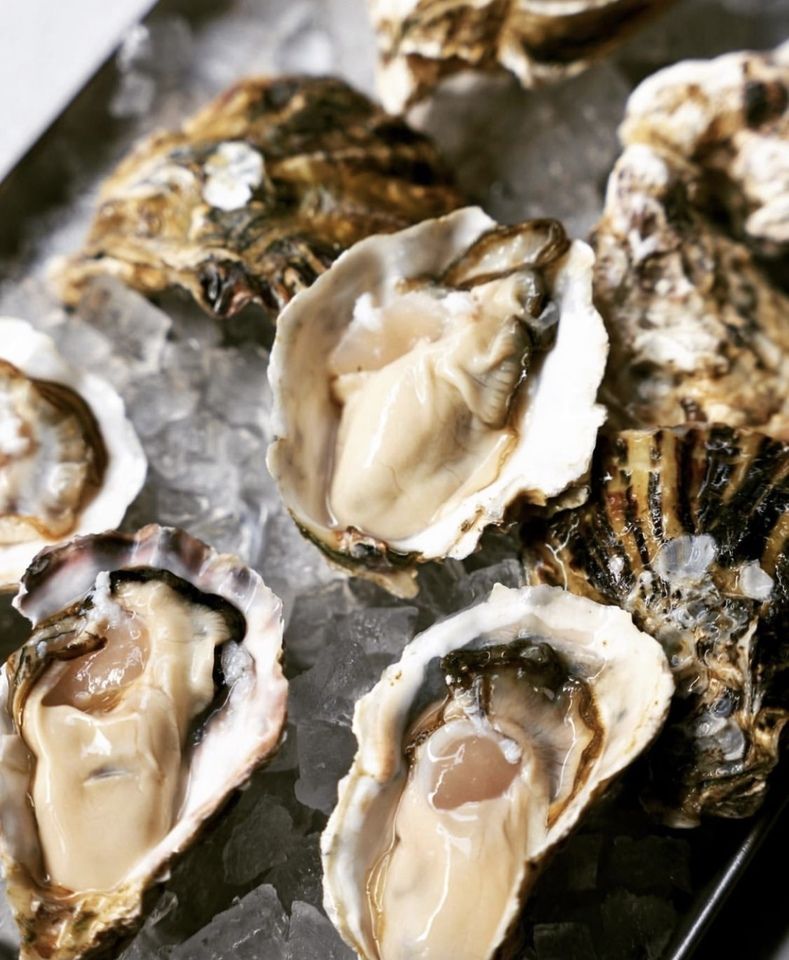 NOHGA OYSTER FAIR