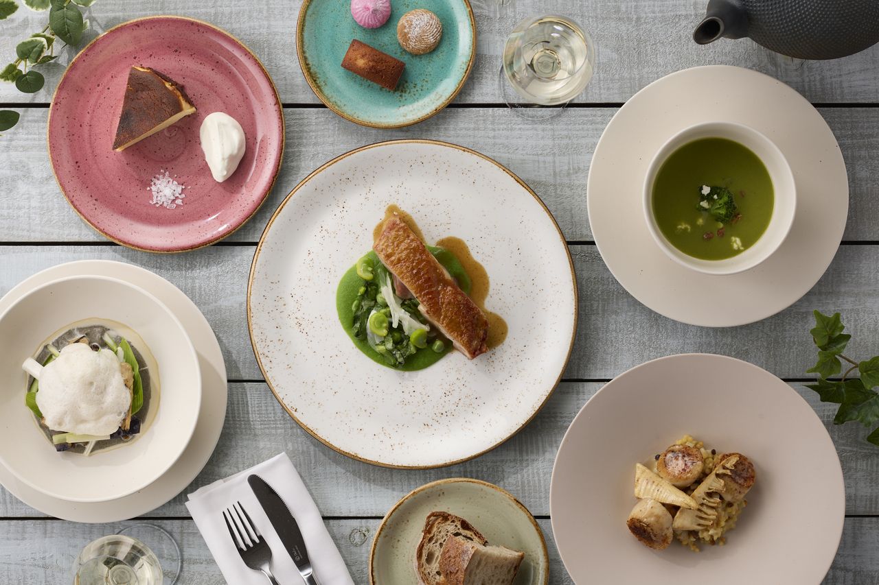 No.1] ・Choice of appetizer, soup, main dish, and dessert (5-course menu) (special price)