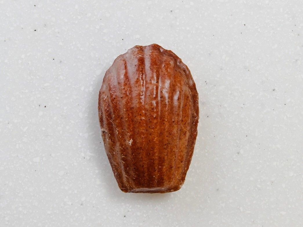 [Baked on the day] Madeleine Vanille