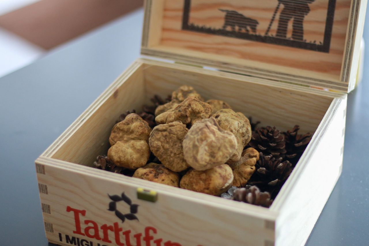 White truffle course with pairing