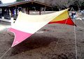 Tarp (S)