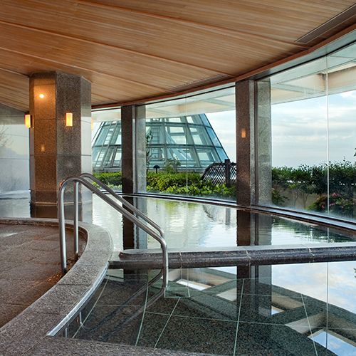 Hot Spring & Dinner Buffet