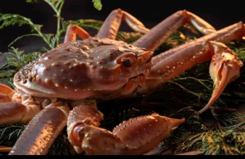Ozaki beef and special live Matsuba crab course (Price shown is for 1 person)