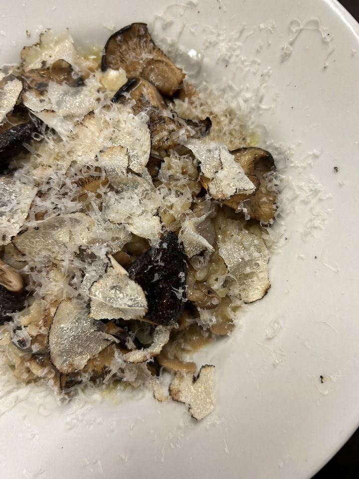 [One dish per person] Special course (7 dishes)