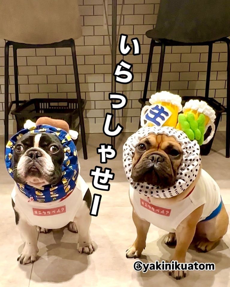 [Yakiniku Atom] Reservations for seats only