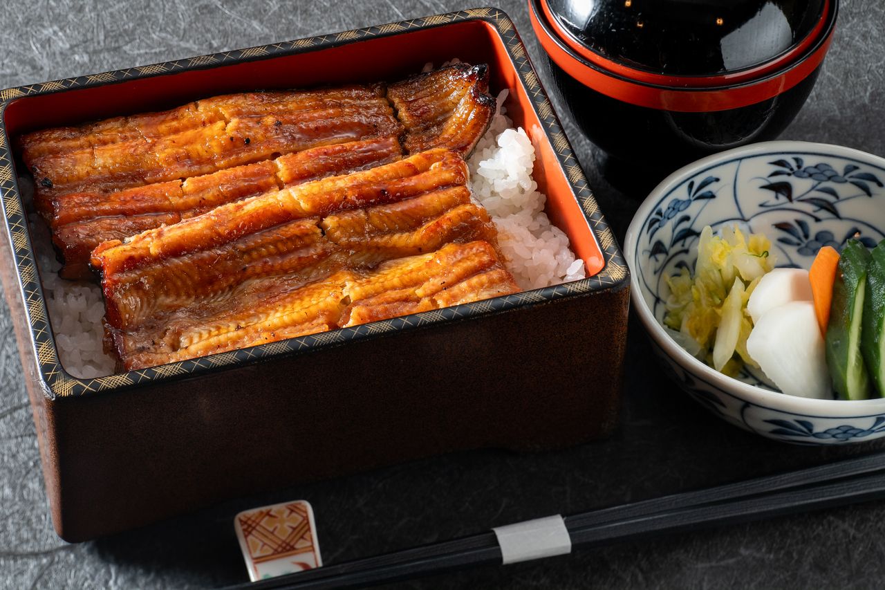 UNAJYU（Grilled Unagi over Rice）Medium