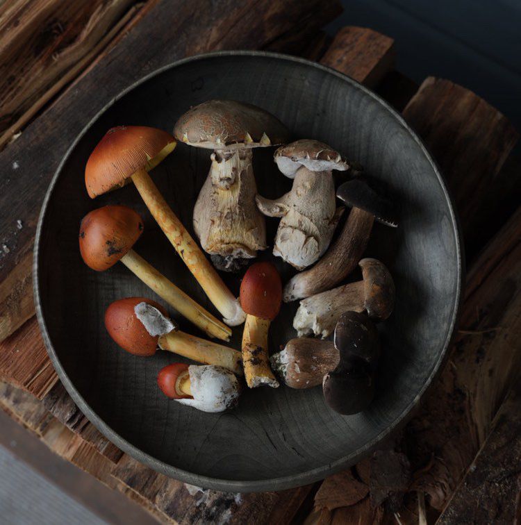 Alcohol pairing course (60ml)