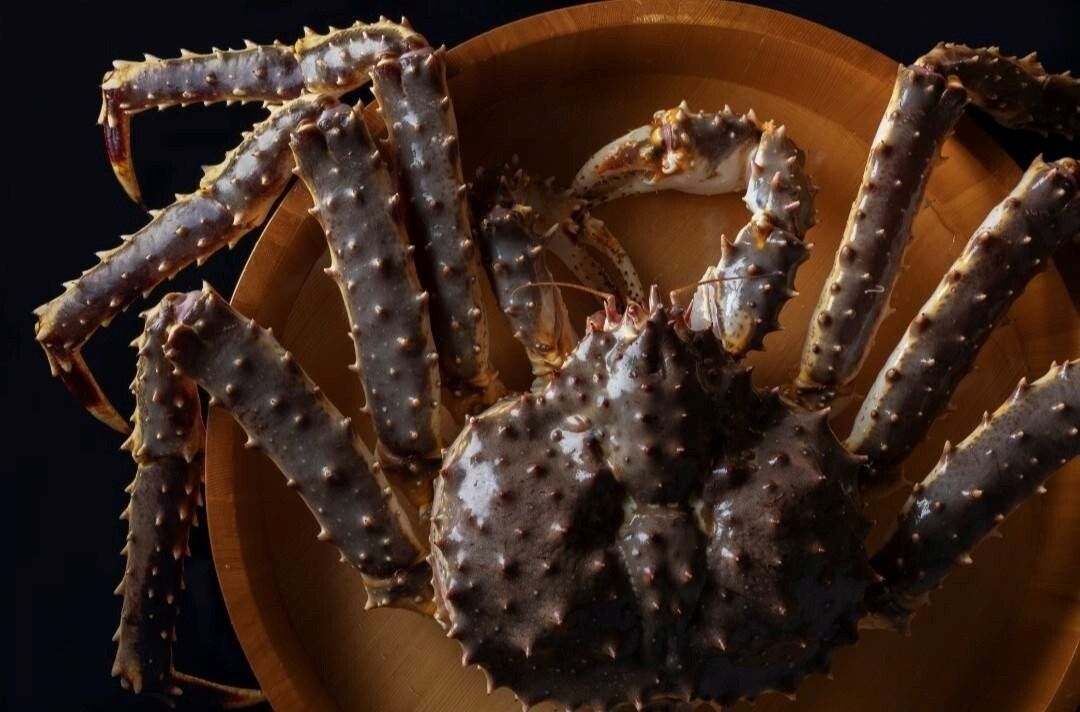 【Counter】Matsusaka Beef and Live King Crab Course (Available Year-round)