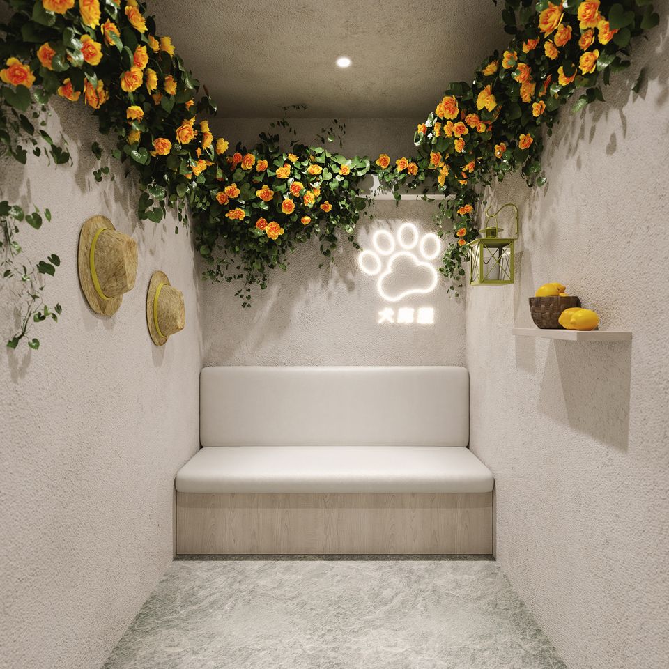 Standard course (30 minutes)