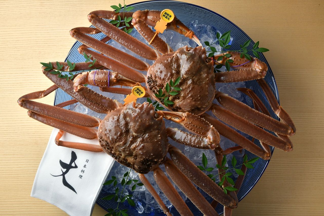 【With pairing】Dinner Course 