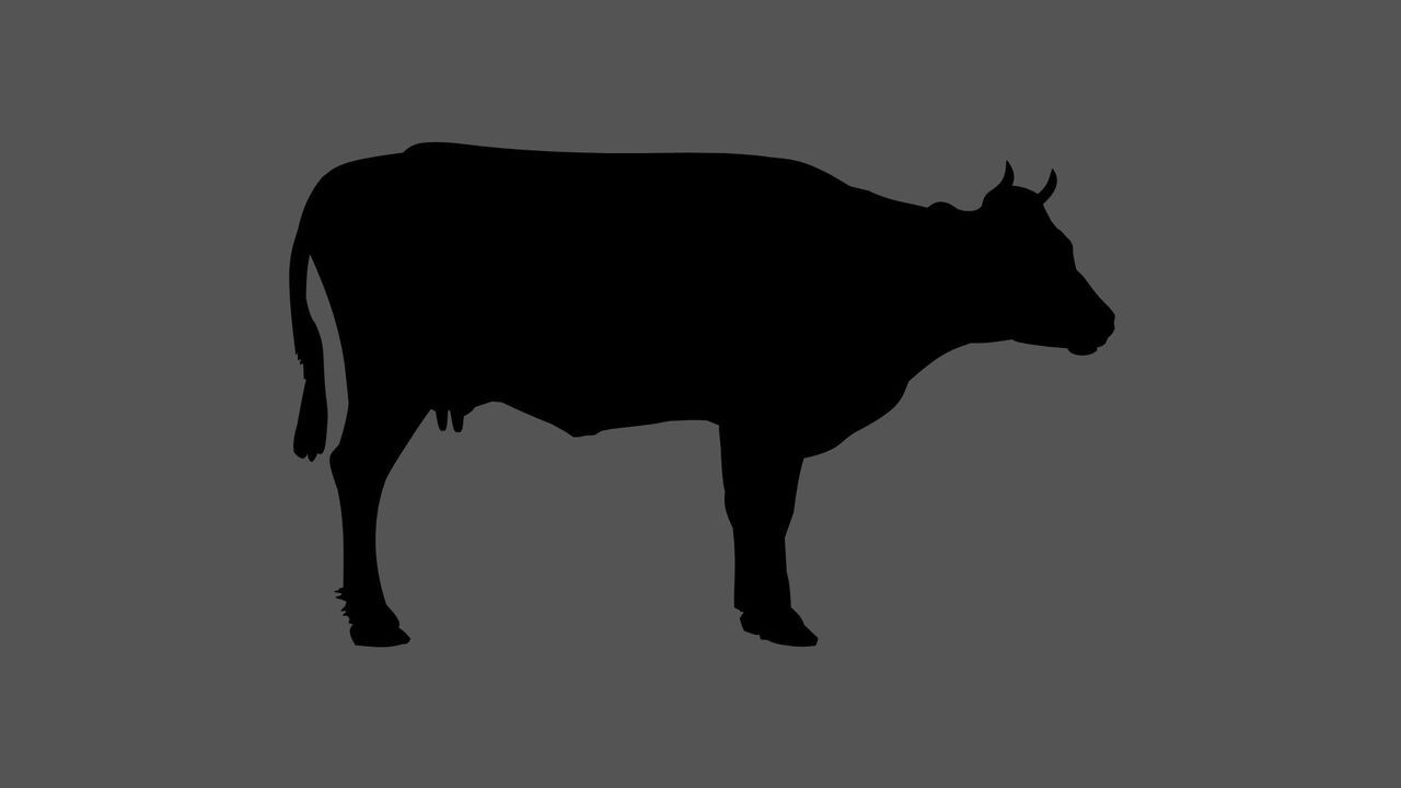 【Standard Course】 お料理のみ