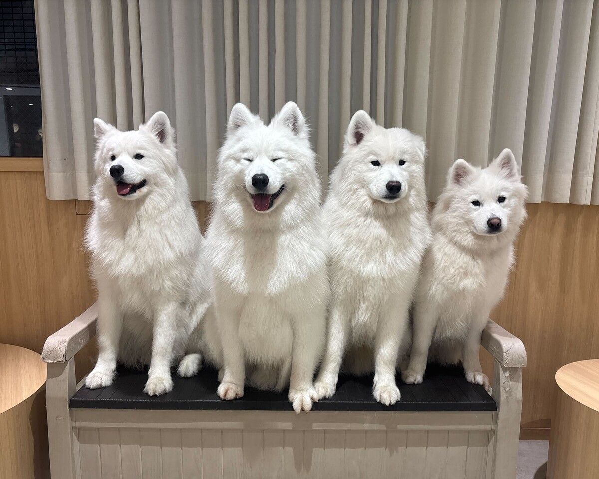 4 Brothers Birthday Event