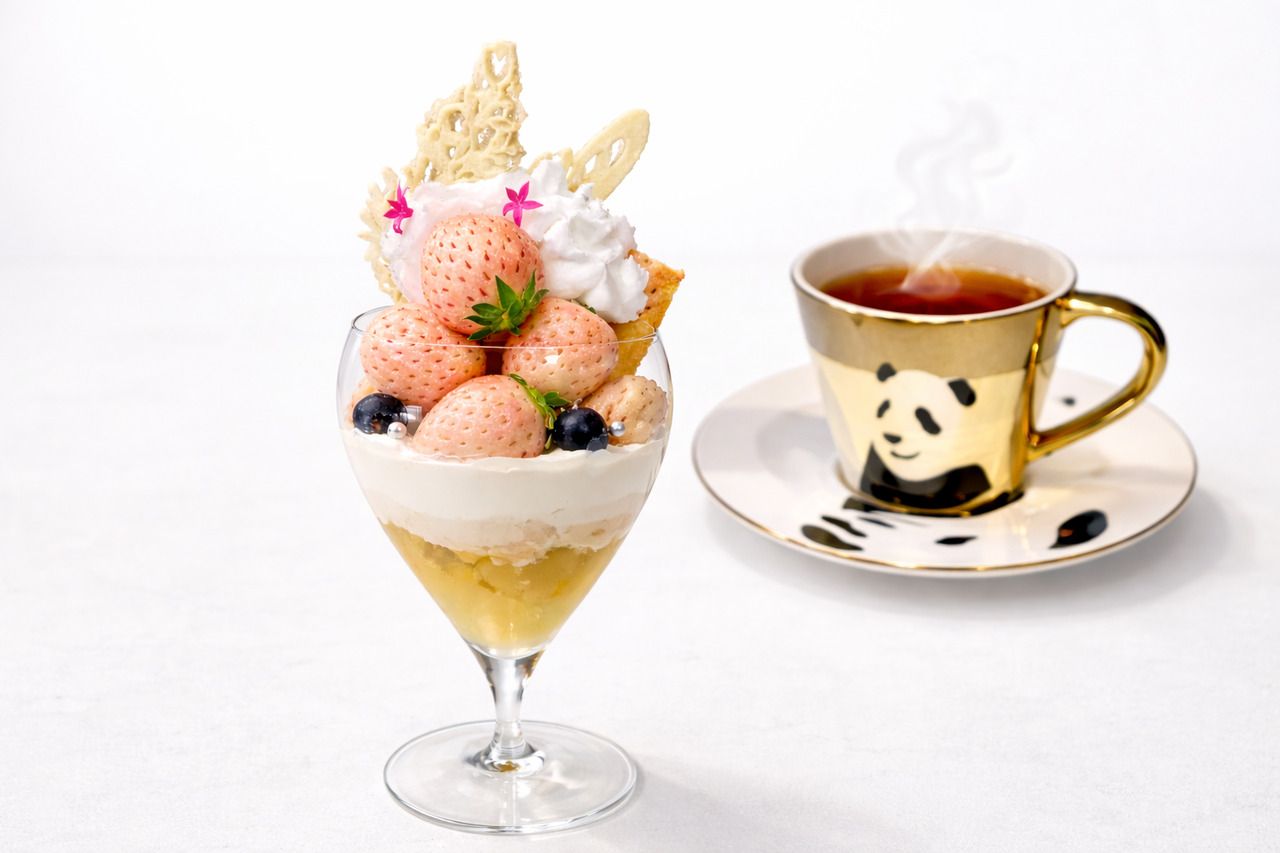 事前予約限定｜儚い白苺 ノパフェ◆パフェ¥3500＋セットドリンク¥600◆