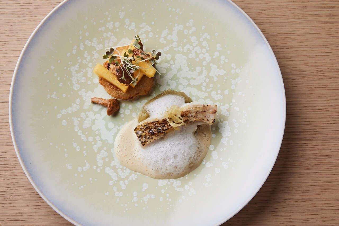 【仅限2月15日】包含7道菜的午餐套餐