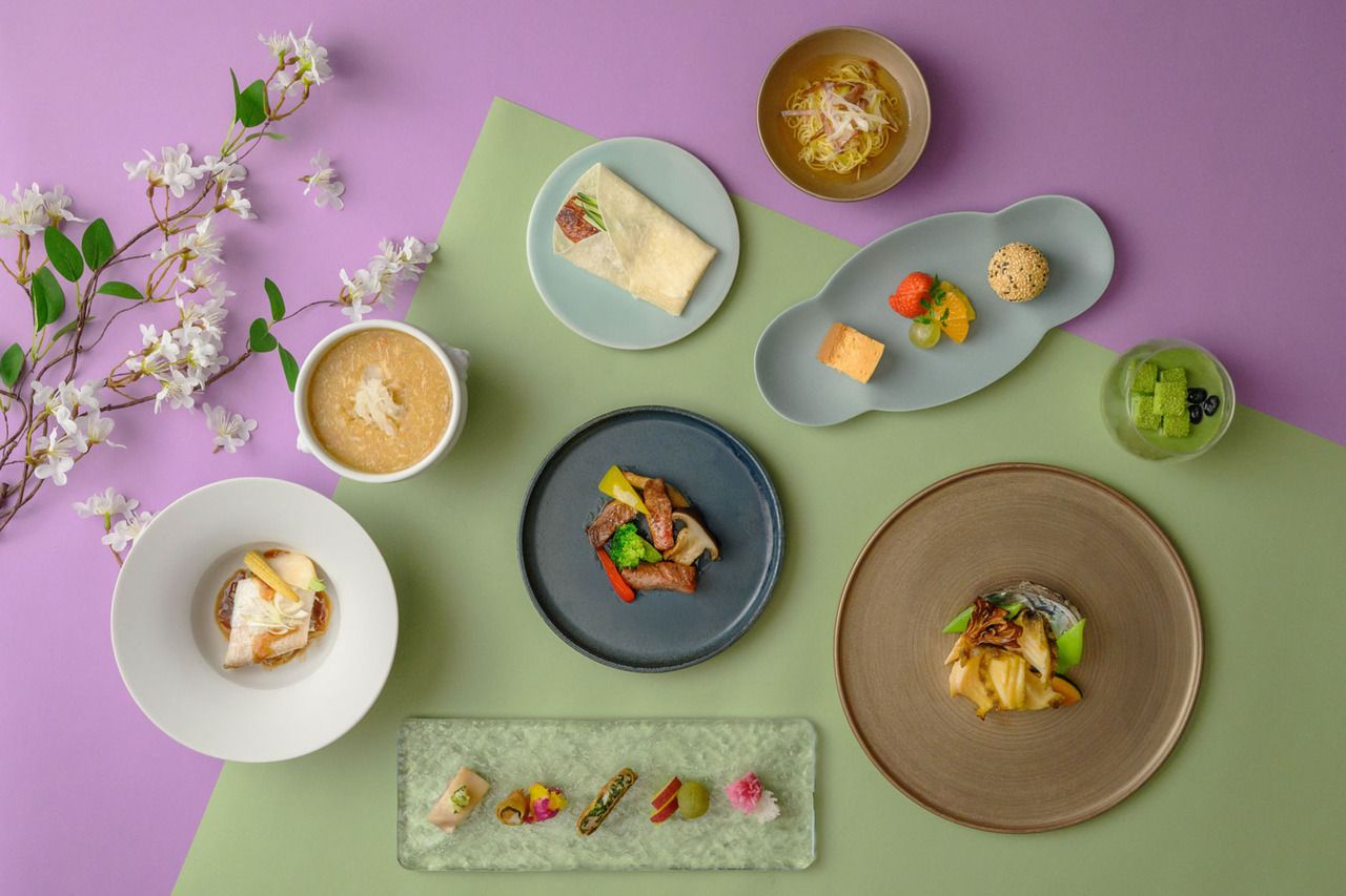 アンスリウム　【HP予約特典 10％オフ】 