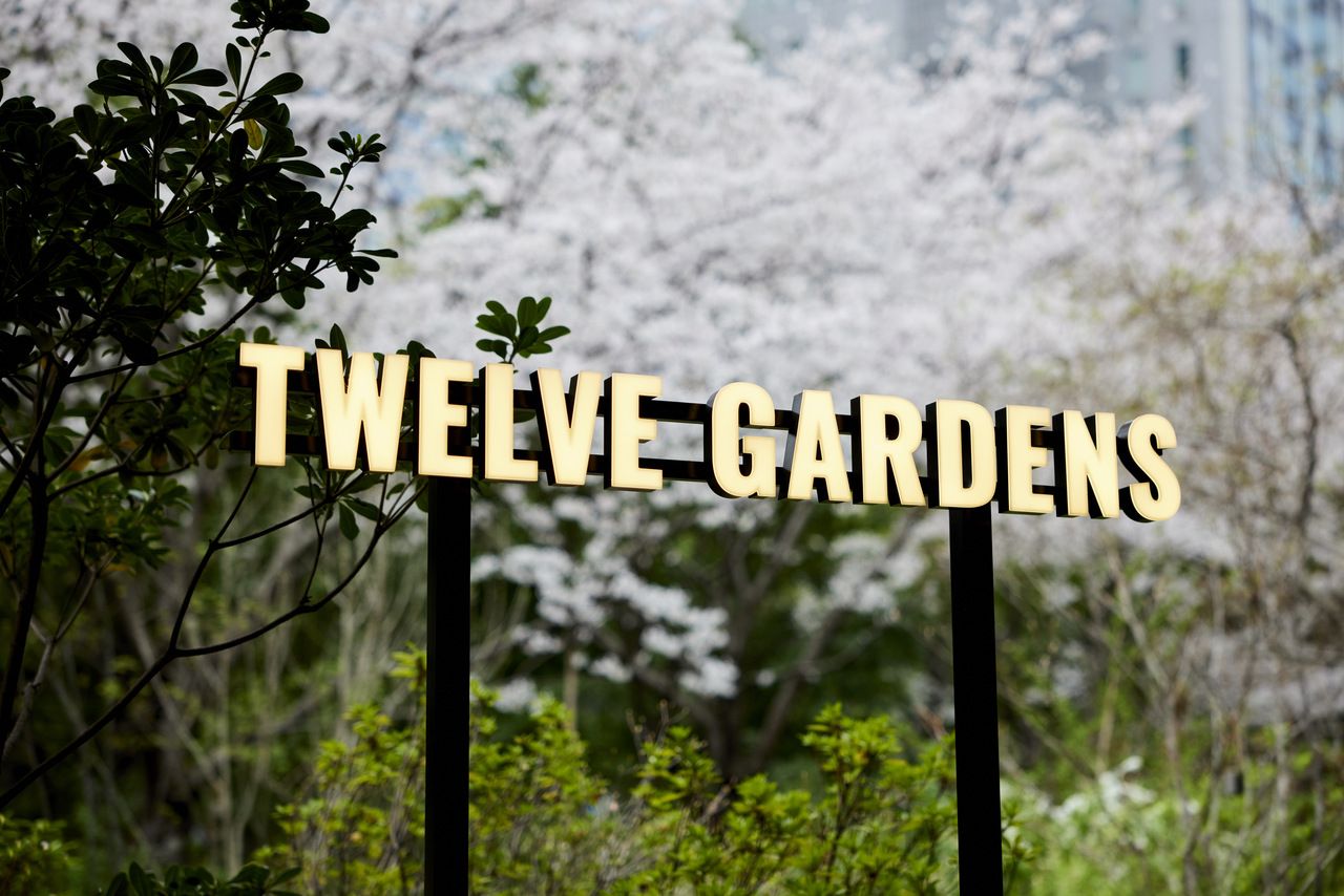 【桜LUNCHコース テラス確約】 3月16日〜4月5日 春の桜LUNCHコーステラス確約プラン 6500円 (LUNCH)