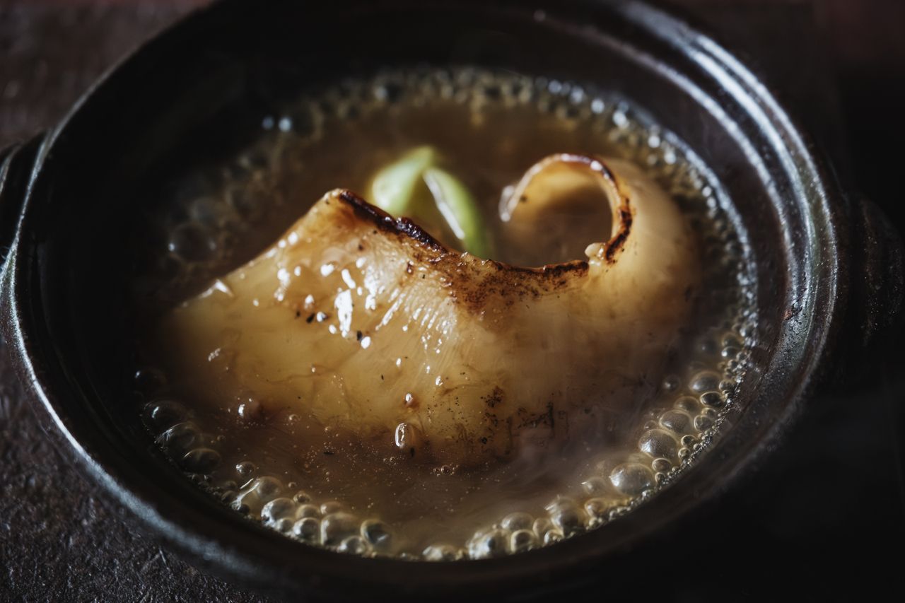 【ディナー】　2026年4月～2026年6月　焼きフカヒレが楽しめる季節のおまかせモダンチャイニーズコース