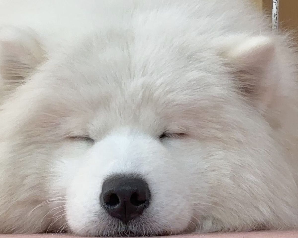 ≪Golden Week Period≫ Regular Ticket (50 minutes)