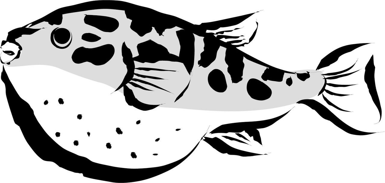 [Cours spécial sur le poisson-globe naturel]