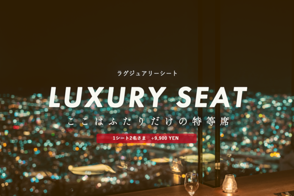 Luxury Seat