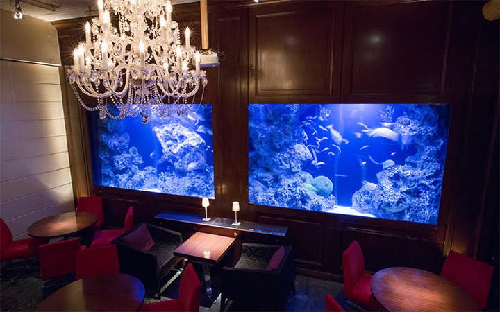 DEN Aquaroom Shinjuku