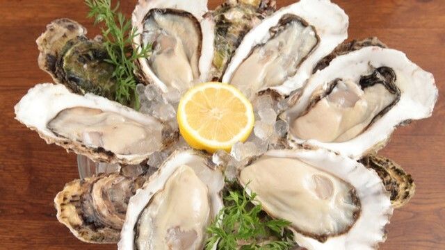Oyster Bar COVO