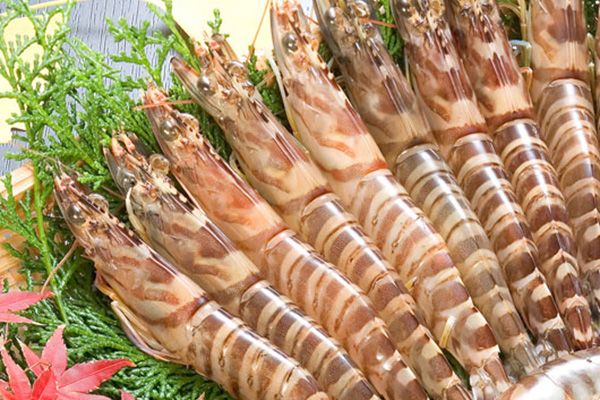 熊本牧場直営　藤木商店