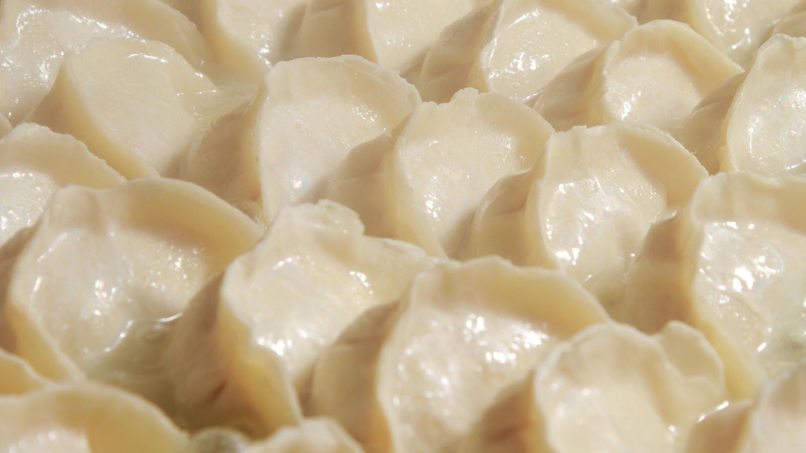 Gyoza Hyakuchin Ichimiringring Shinjuku