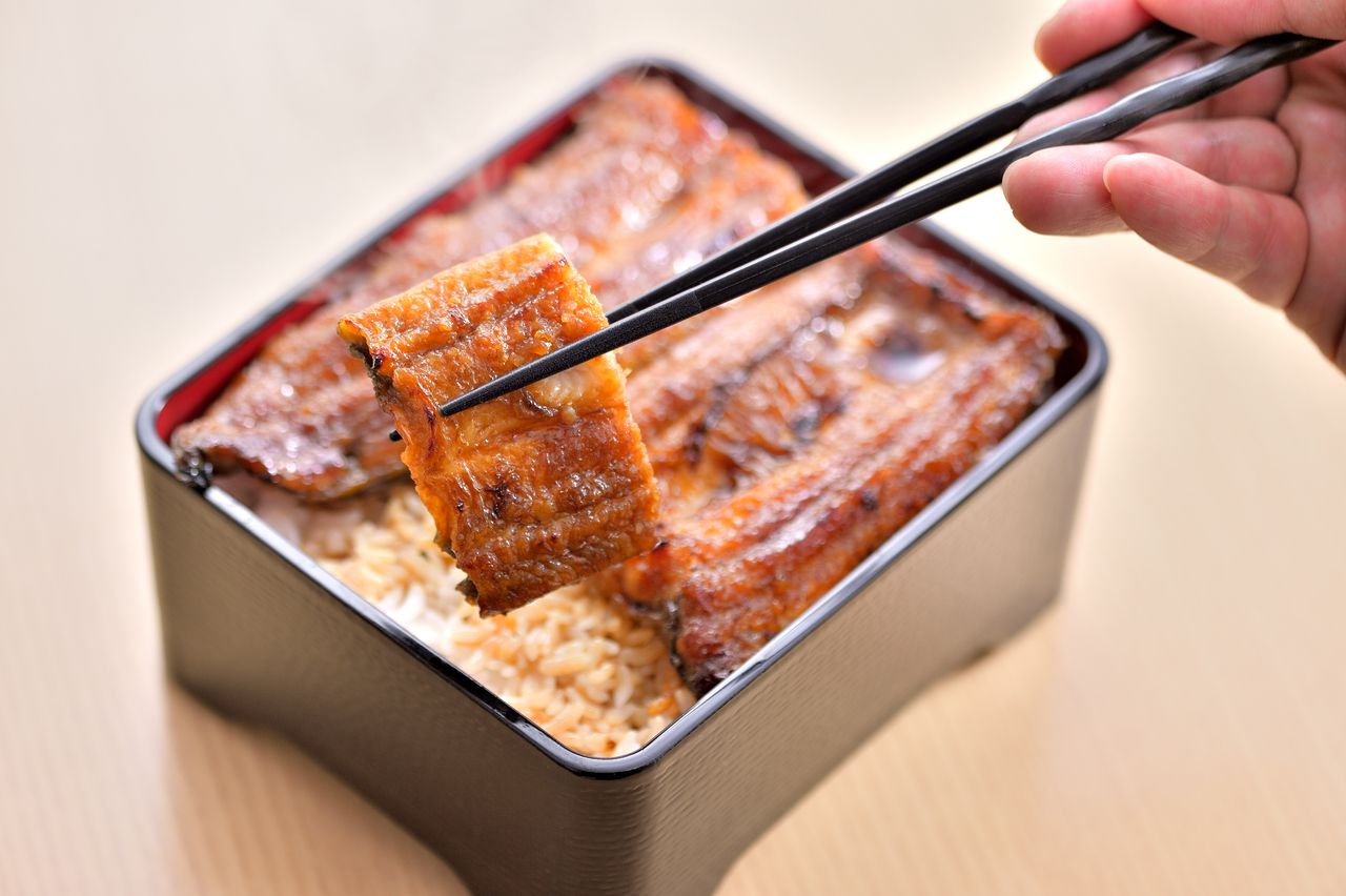 鳗鱼套餐（特制）