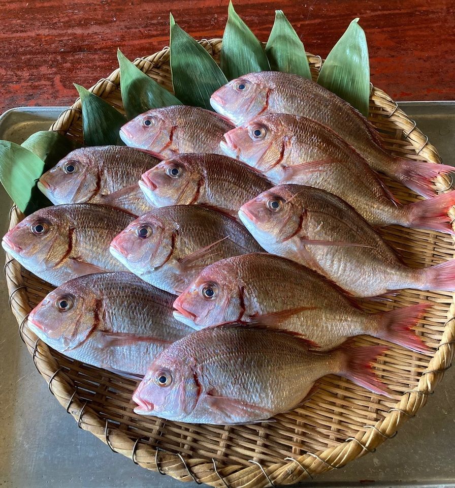 お祝膳（昼夜とも２名様からのご予約制）