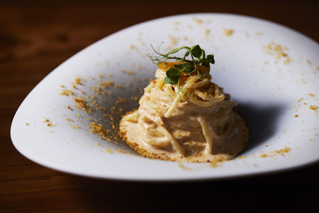 特選ランチコース