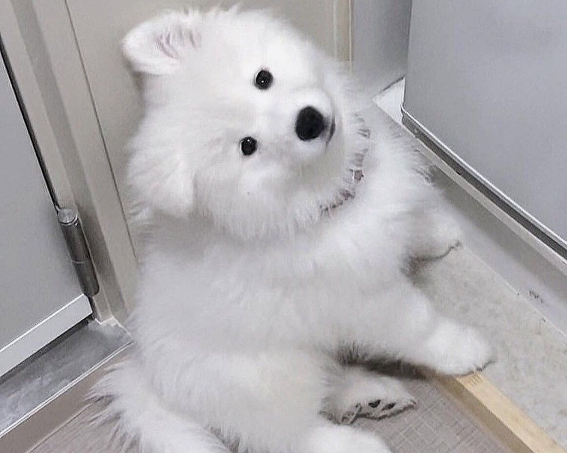 ≪土日祝≫通常チケット（50分）