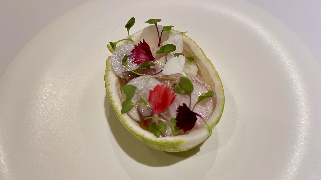 디너 코스 Menu Stagione(평일 한정)