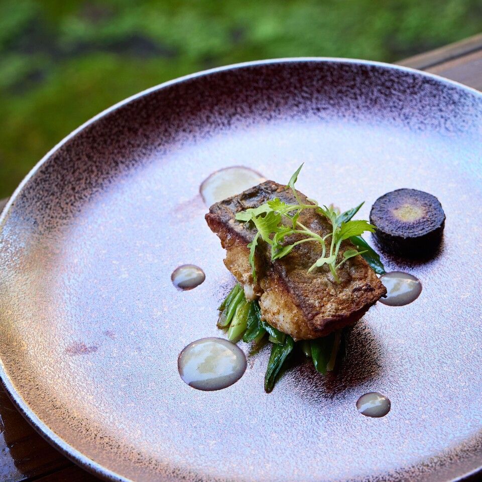 Monthly Lunch Course — “C” COURSE