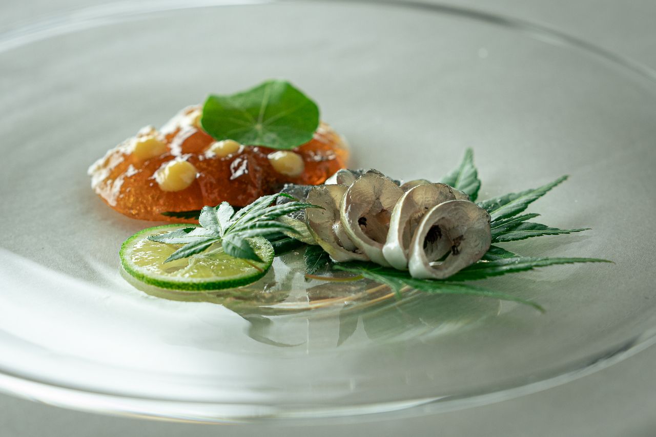 Seasonal Lunch Course ¥13200