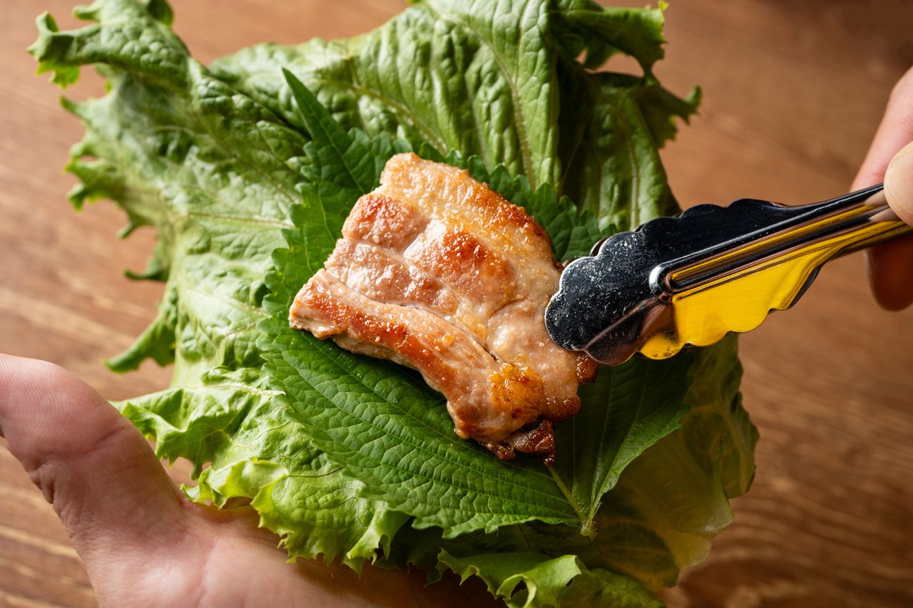 コスパ良く韓国グルメ堪能✰サムギョプサル鉄板×韓国人気料理コース！2300円