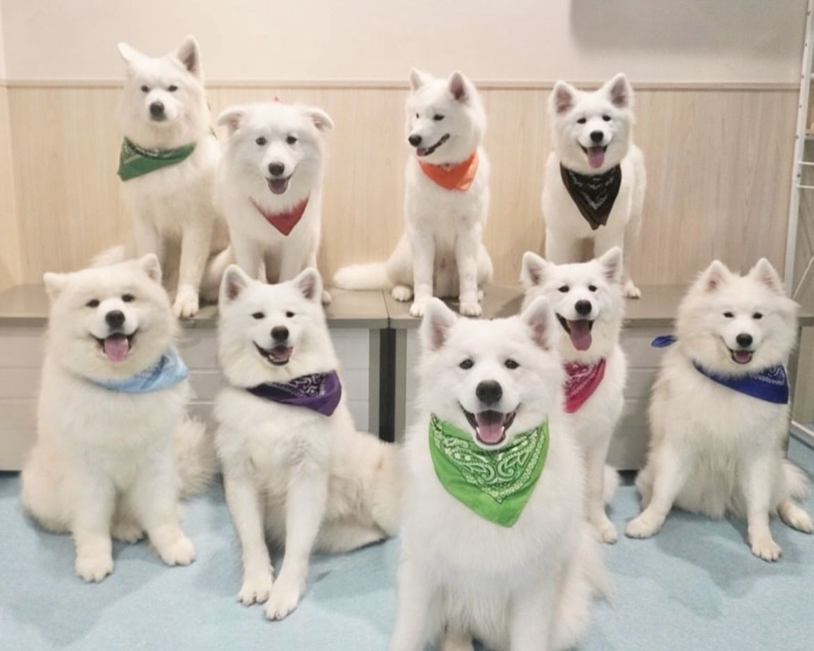  Regular ticket (50 minutes)