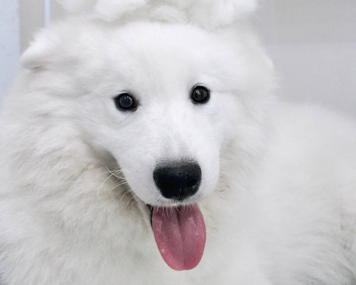 ≪겨울 휴가 기간 ≫통상 티켓(50분)