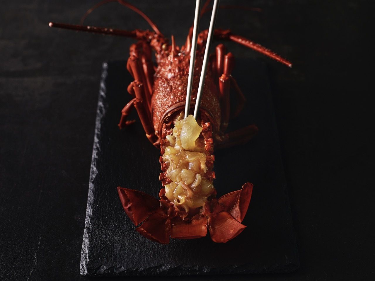 [Zen] Seasonal Chef's OMAKASE Course (13 dishes)