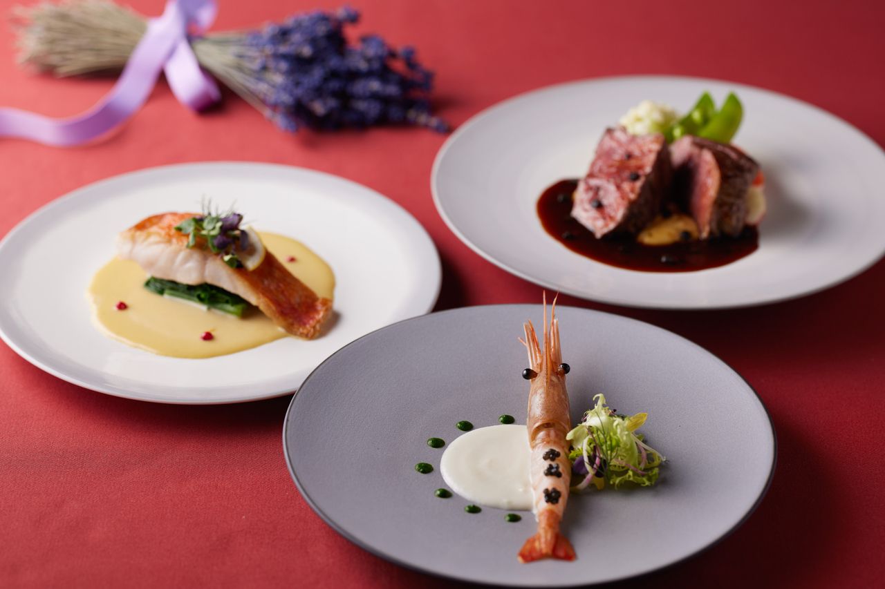 Rrestaurant＆bar Dinner ¥8800 Course (1/10～）