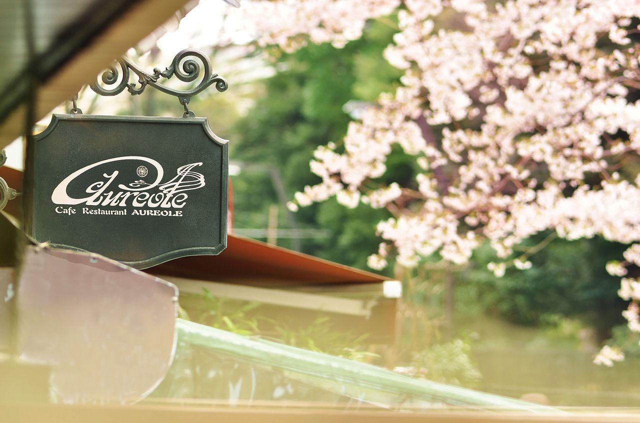 春ランチコース！