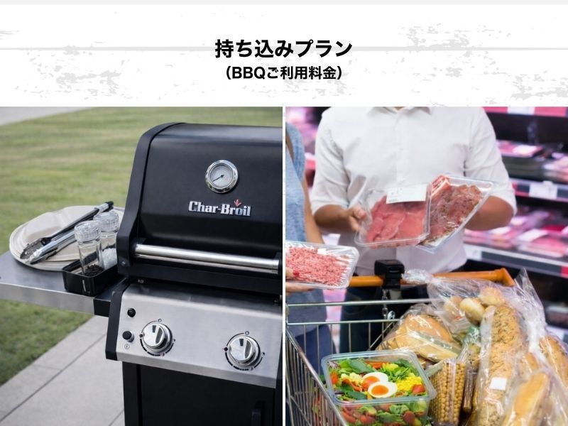 Bring-your-own plan (usage fee)