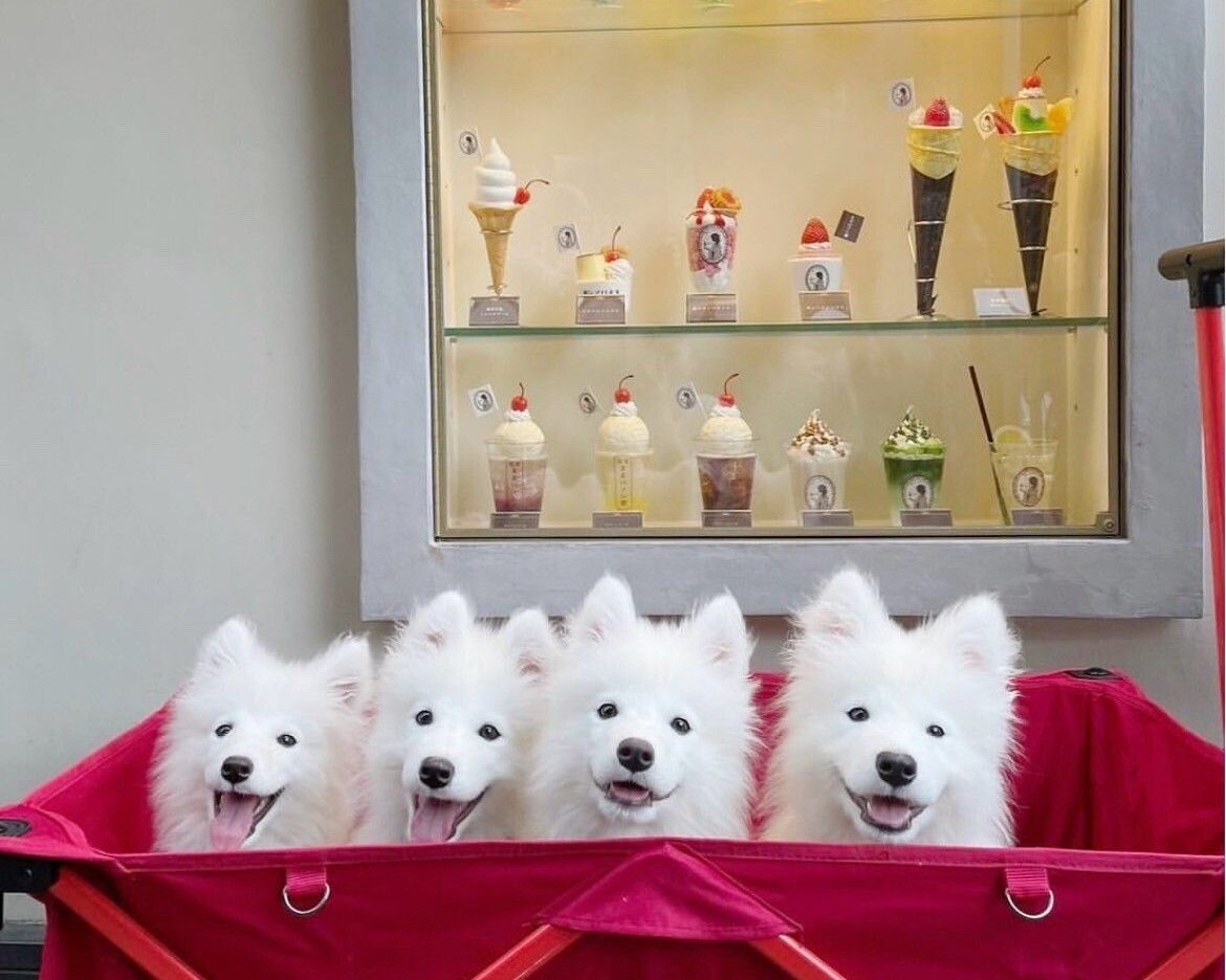 4/1～≪平日≫通常チケット (50分)