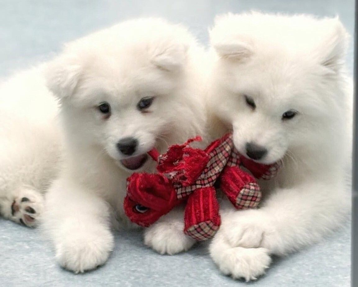 ≪골든 위크 기간≫통상 티켓(50분)