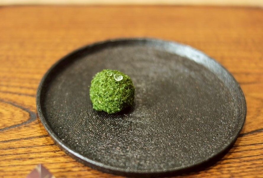 八月的茶果会（五果五茶）